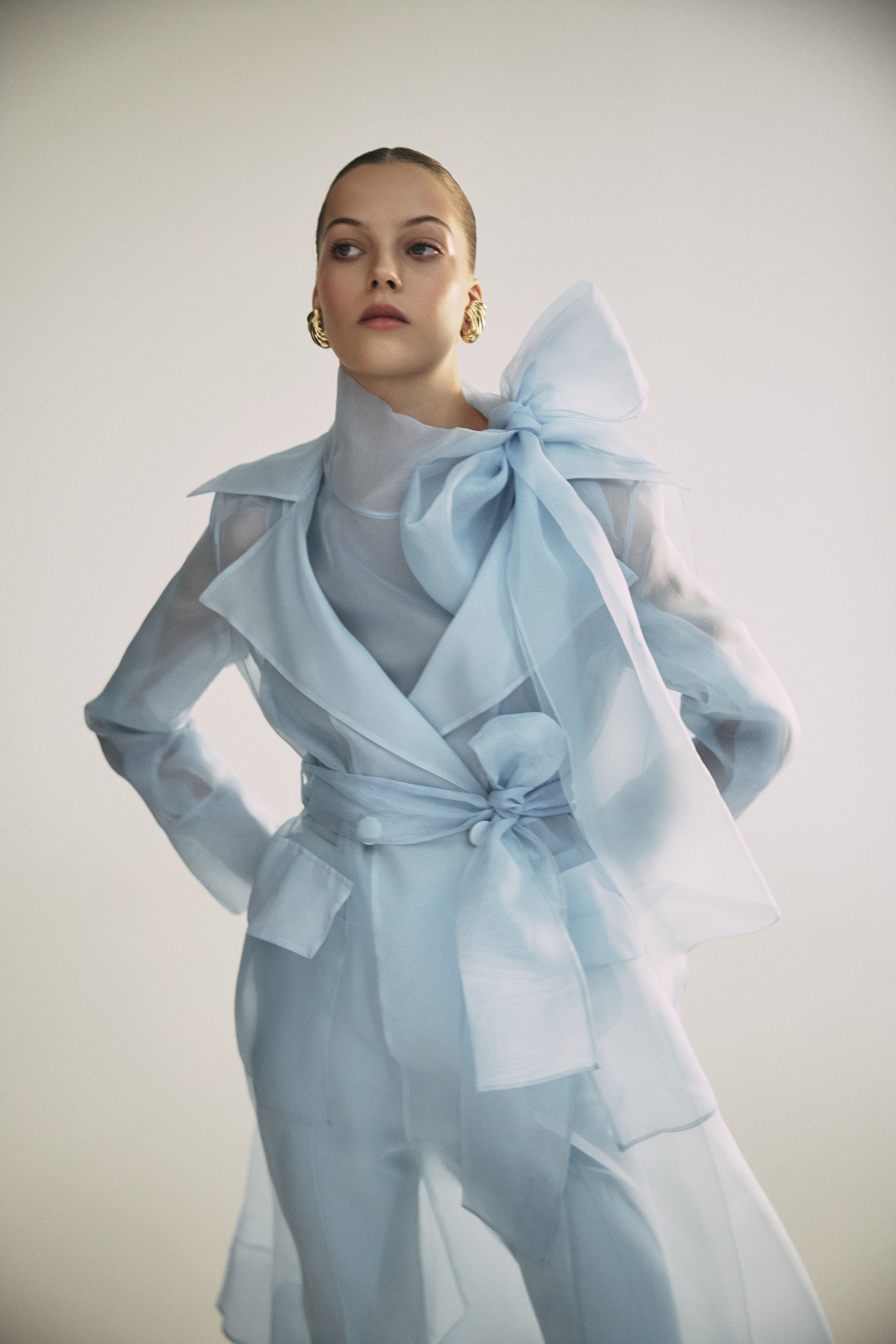 Sheer blue organza-silk blouse