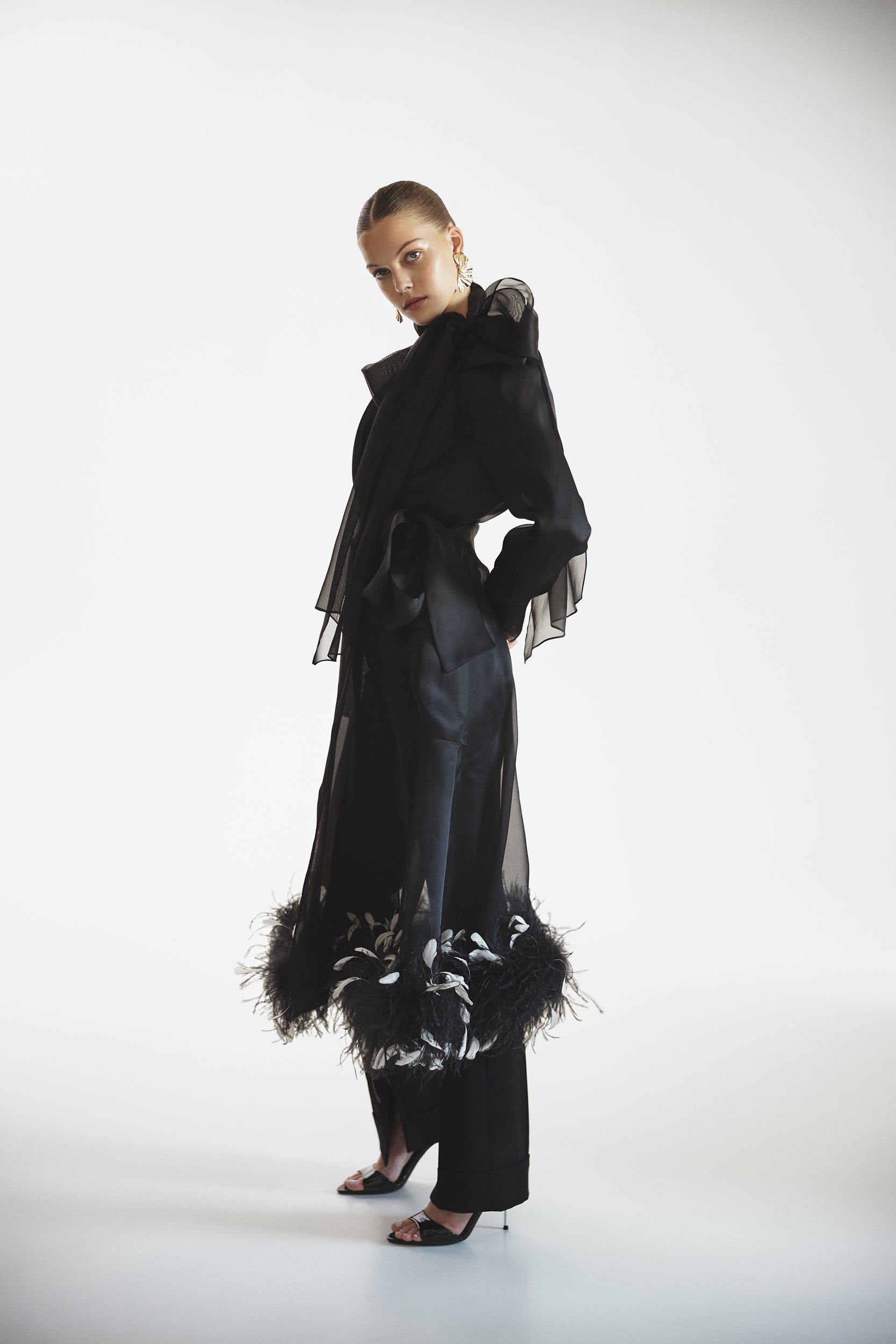 Sheer organza trench dress in black