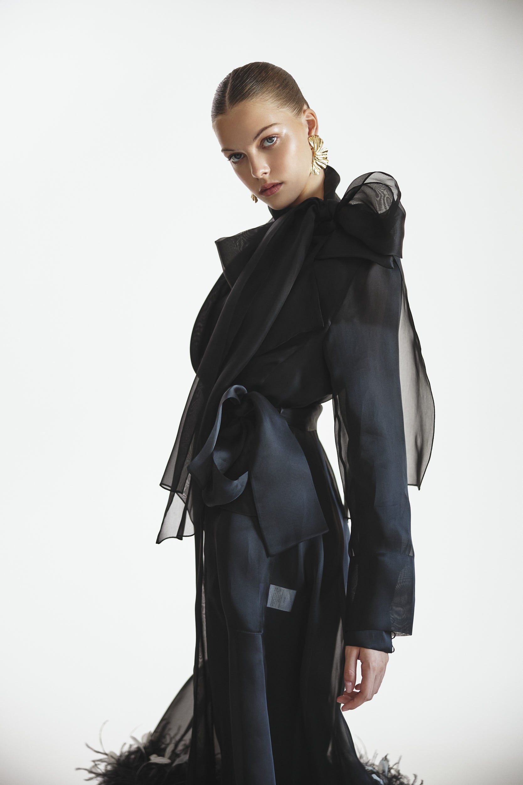Sheer organza trench dress in black