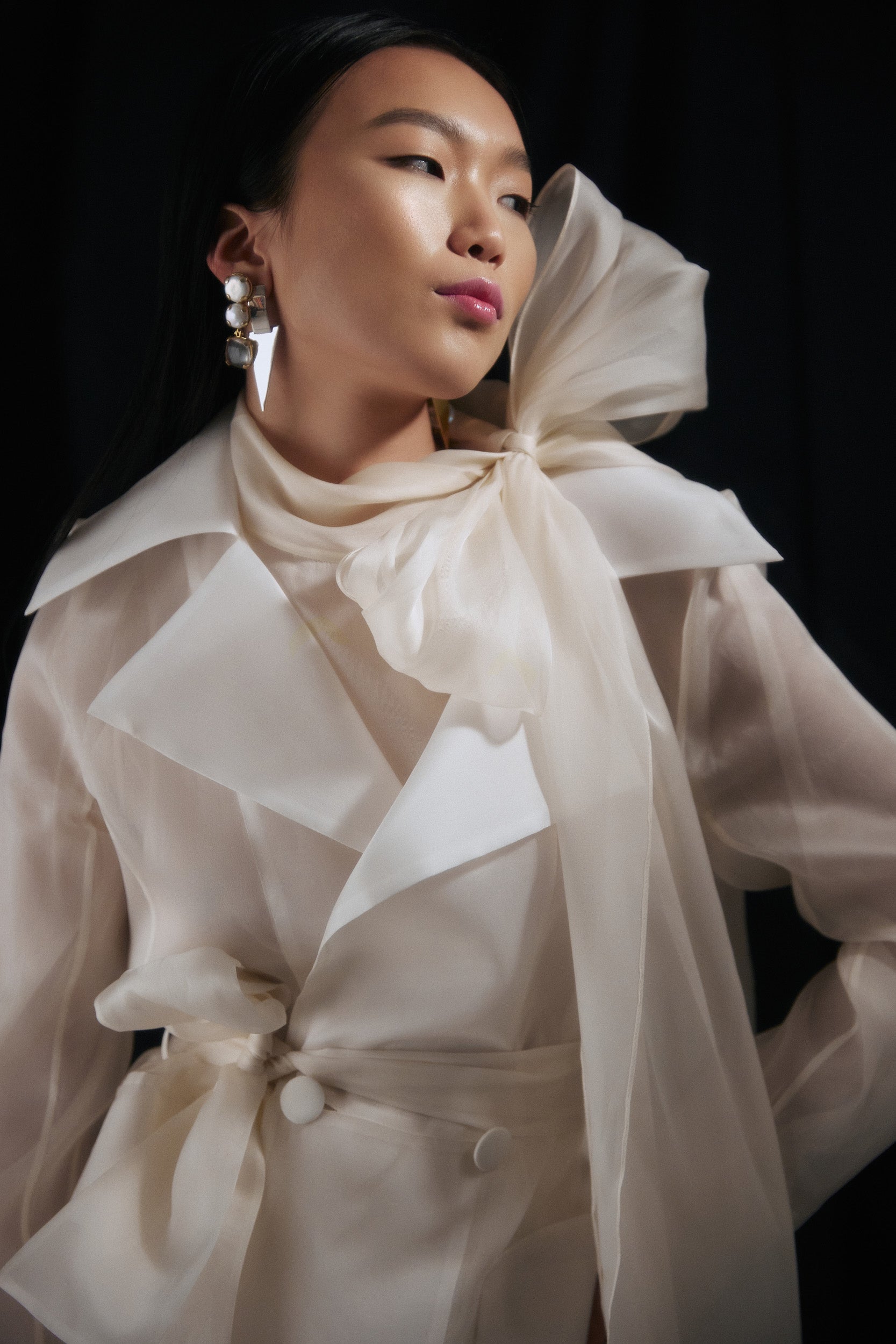 See Through White Organza Trench Dress