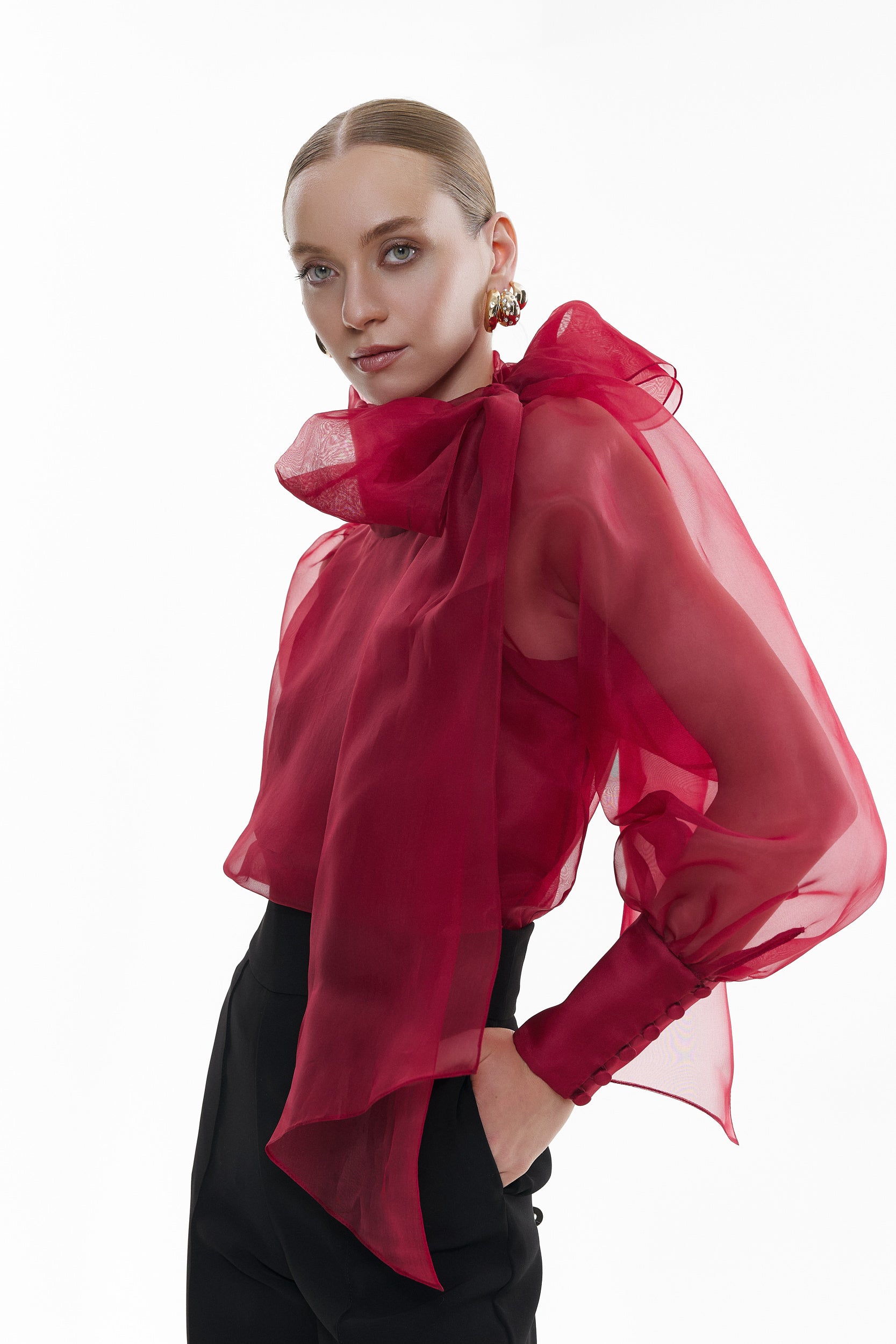 Sheer Red organza-silk Blouse