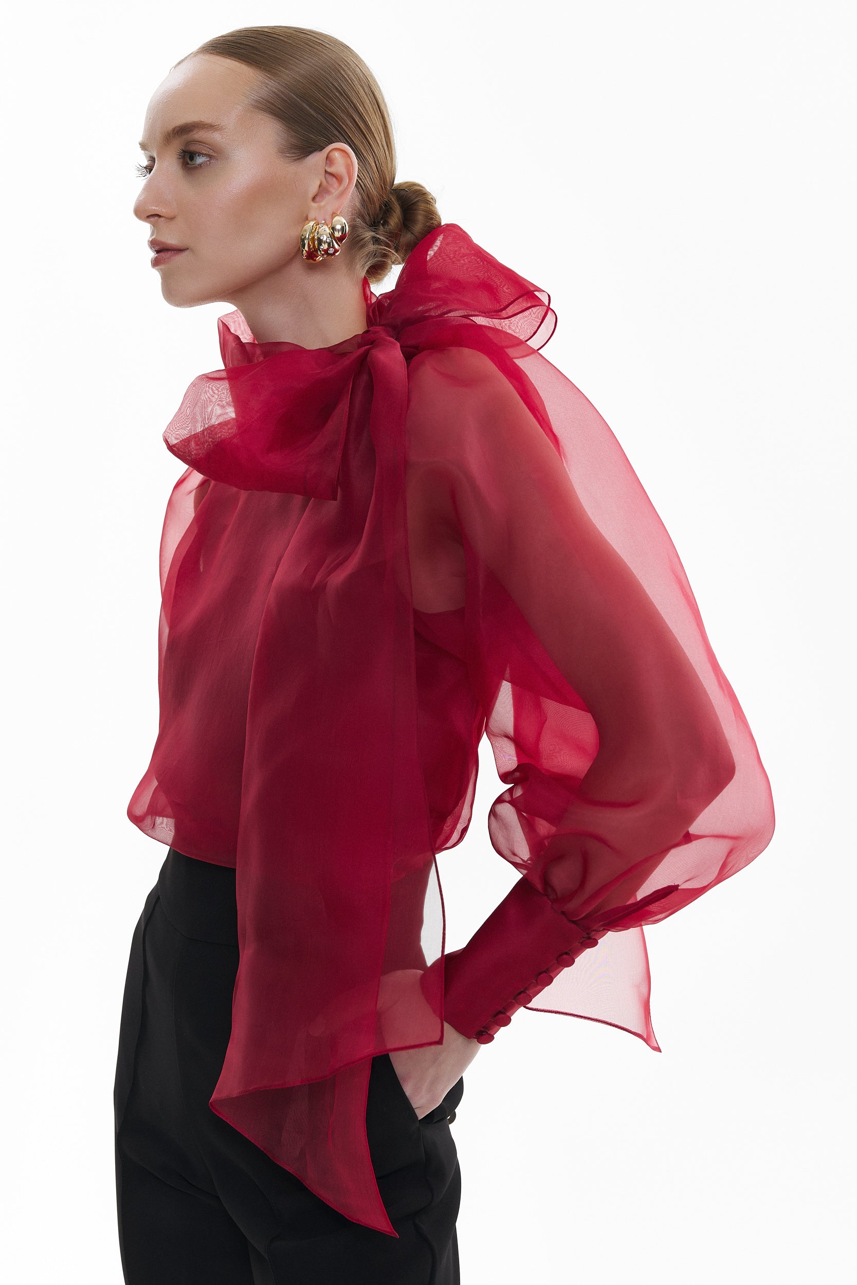 Sheer Red organza-silk Blouse