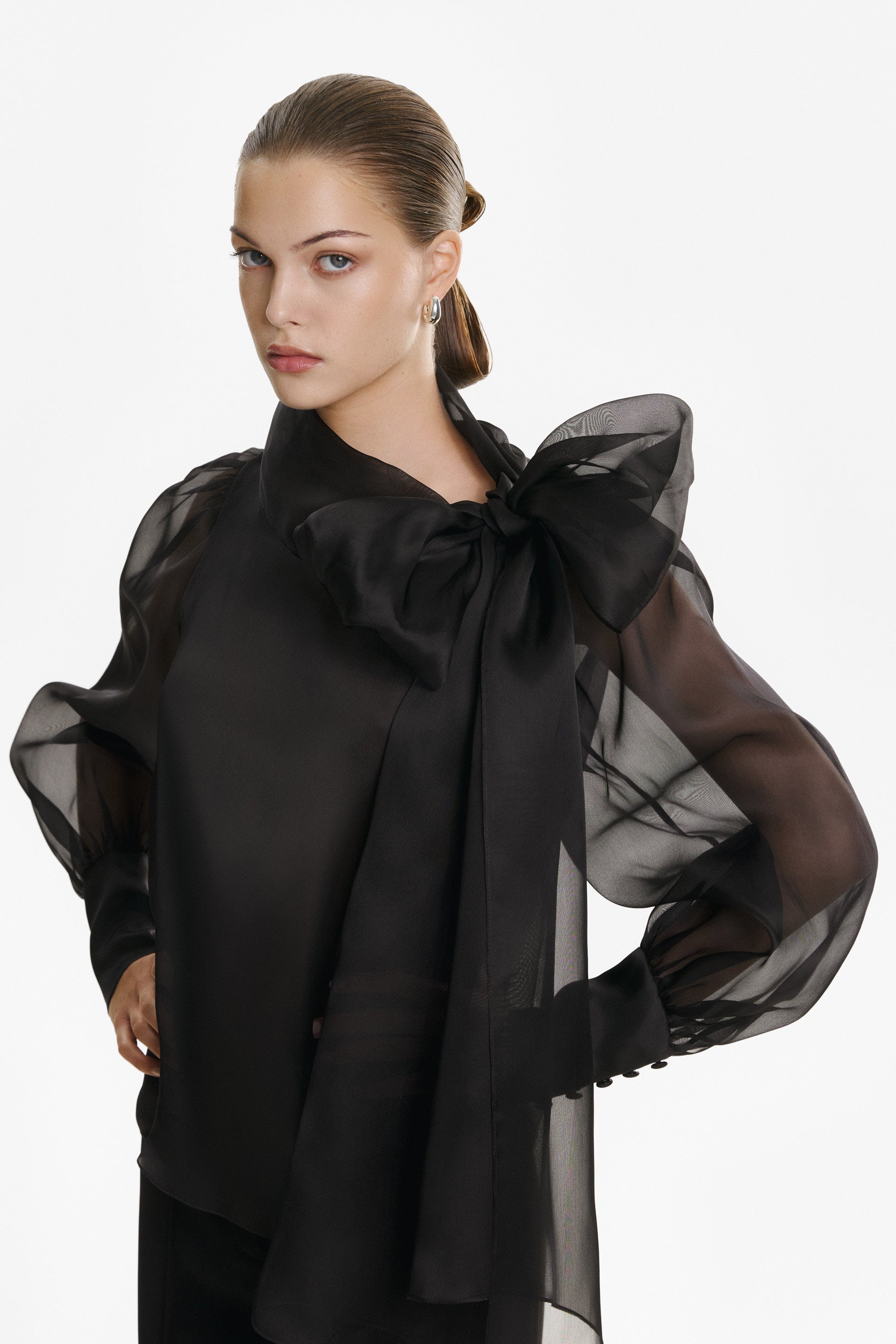Sheer black organza-silk blouse