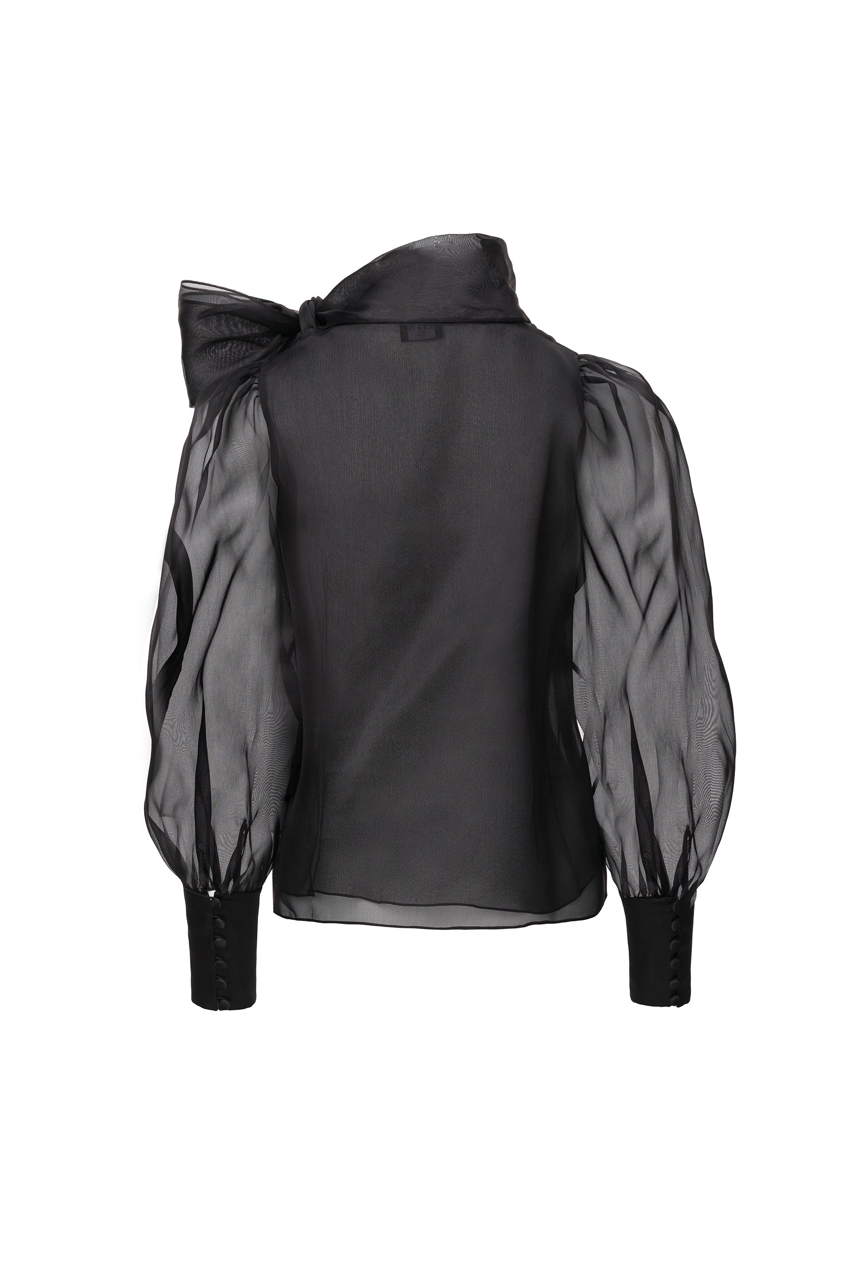 Sheer black organza-silk blouse