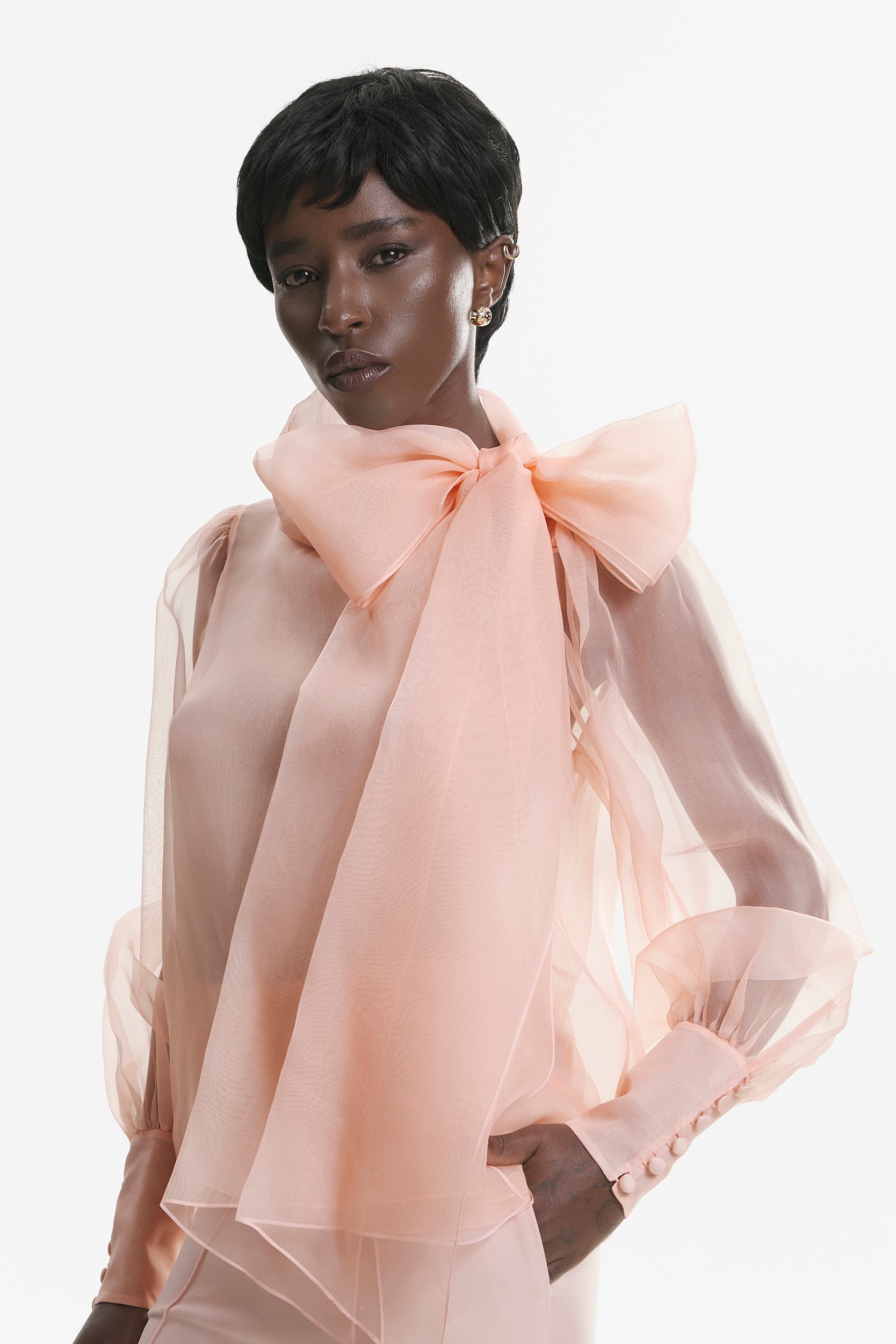 Sheer pink organza-silk blouse