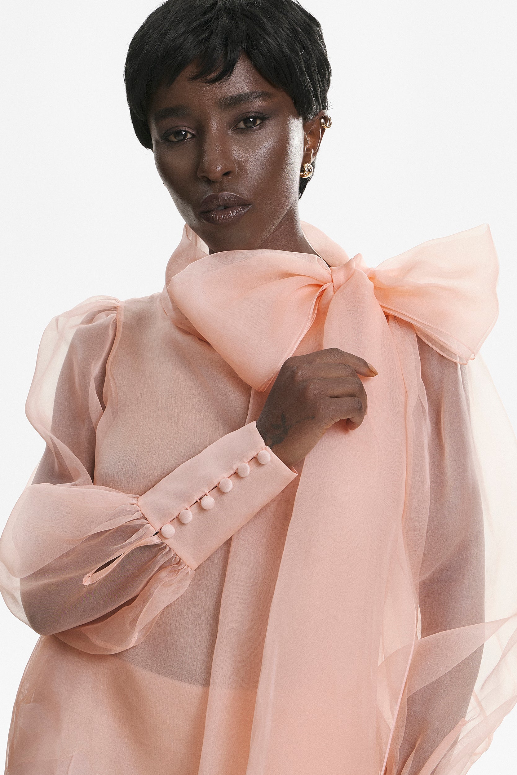 Sheer pink organza-silk blouse