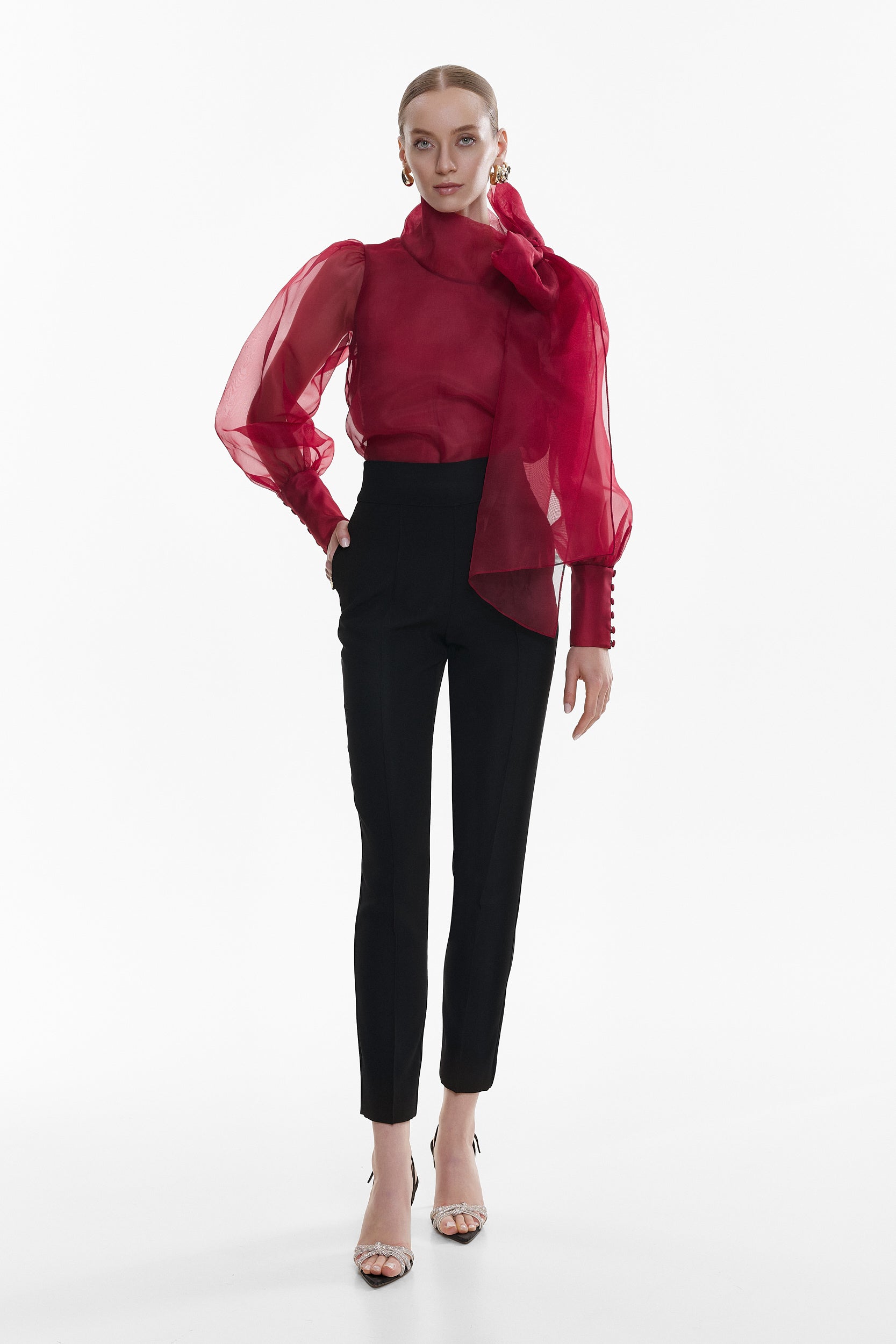 Sheer Red organza-silk Blouse
